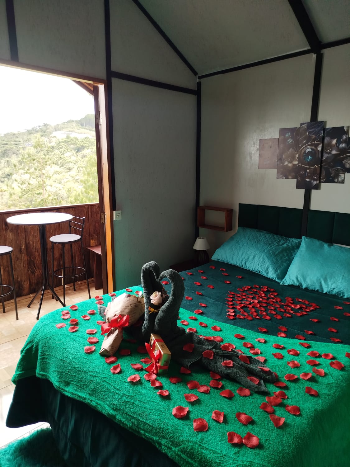 WhatsApp Image 2026-02-24 at 14.30.25.jpeg