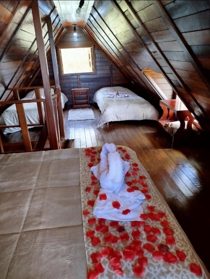 WhatsApp Image 2026-02-24 at 13.48.09.jpeg