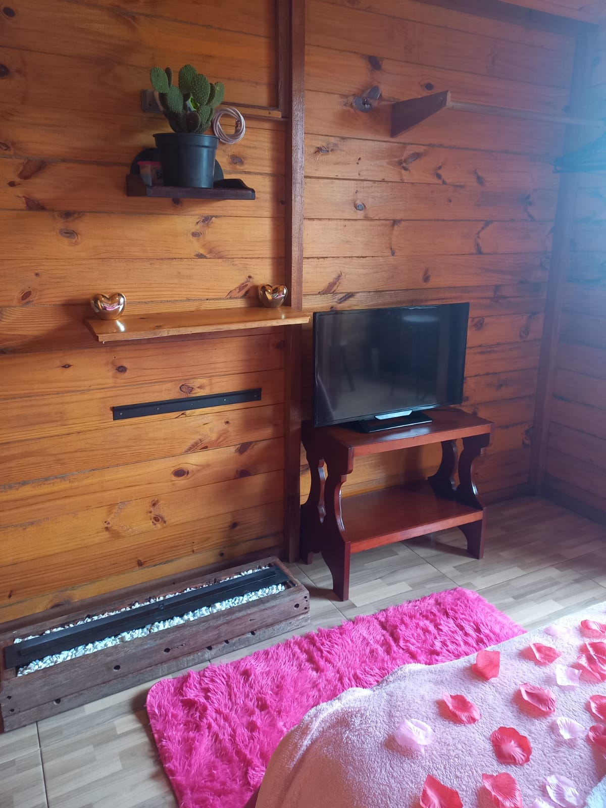 WhatsApp Image 2026-02-24 at 14.32.08.jpeg