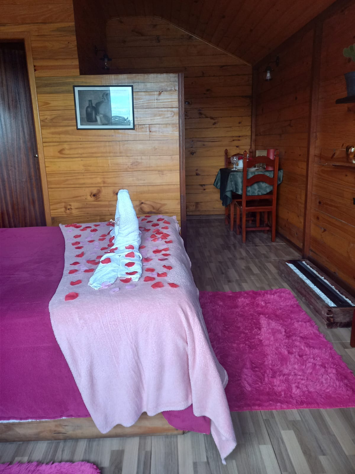 WhatsApp Image 2026-02-24 at 14.32.09.jpeg