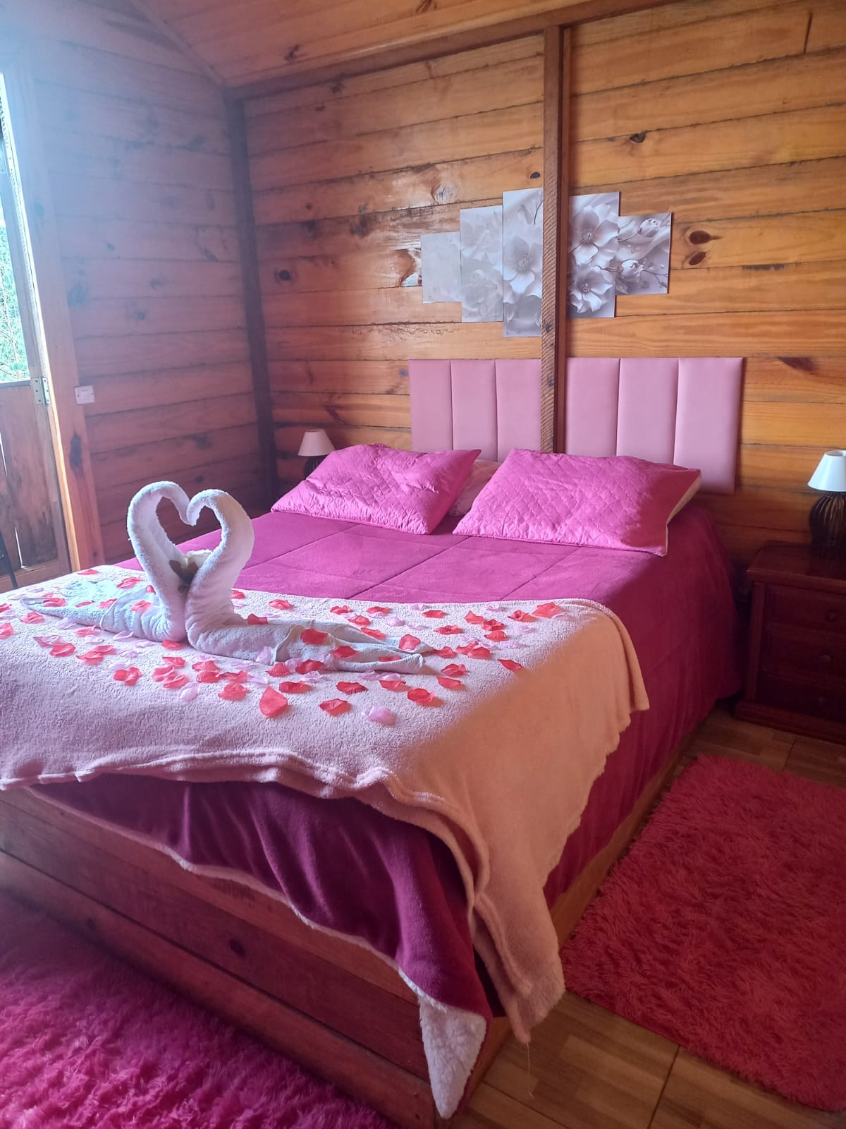 WhatsApp Image 2026-02-24 at 14.32.10.jpeg